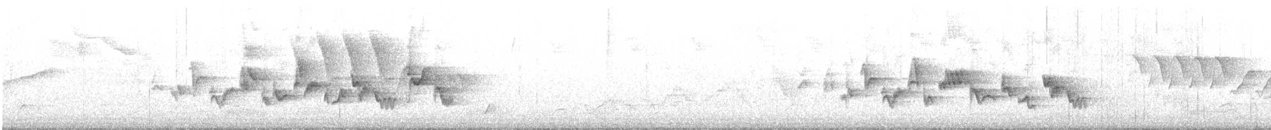 Віреон світлобровий - ML242432351
