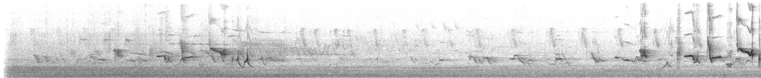 Oriole des vergers - ML242436841