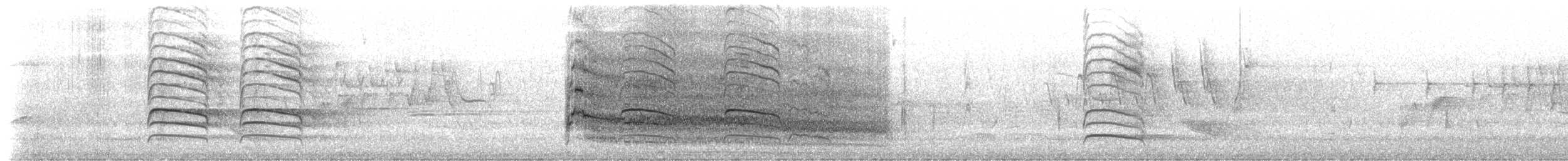 Краснохвостый канюк (borealis) - ML242439451