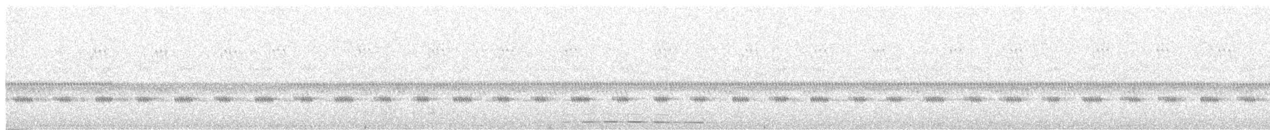 Fleckenkreischeule - ML242442651