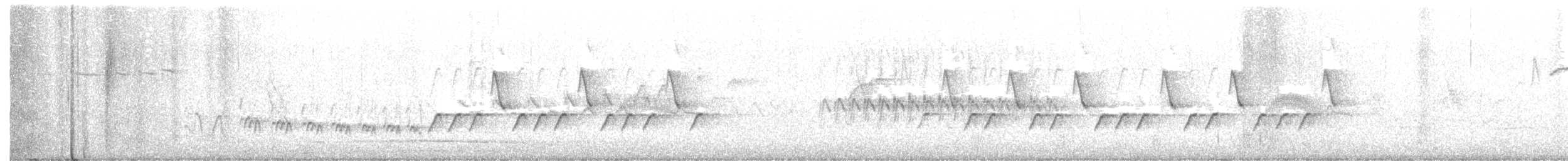 ルビーキクイタダキ - ML242443951