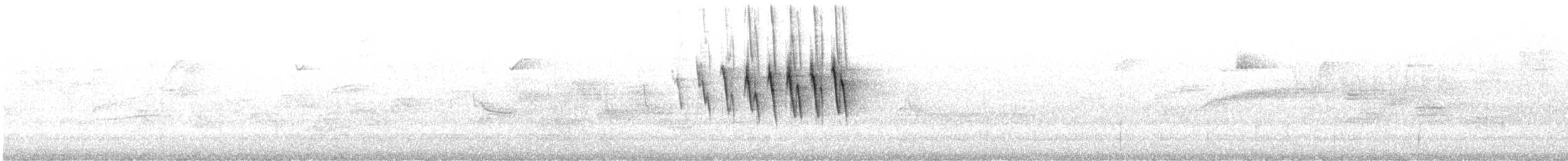 Wilson's Warbler (chryseola) - ML242448161