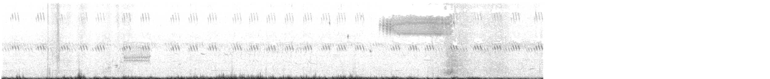 Heuschreckenammer - ML242451171