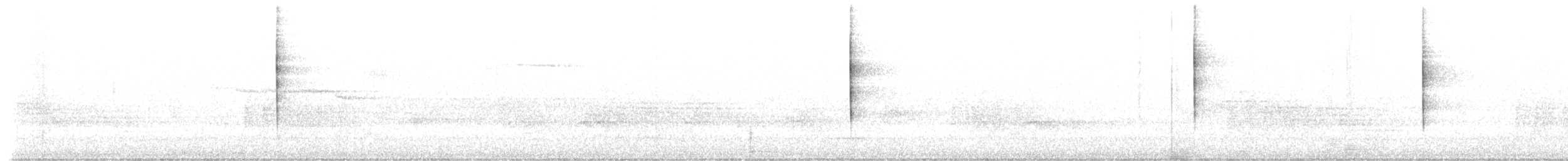 Kara Gözlü Junko (hyemalis/carolinensis) - ML242458921