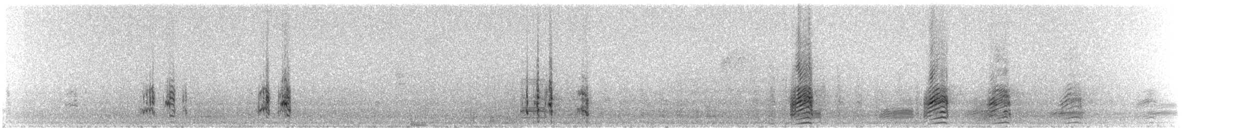 Чирянка андійська (підвид andium) - ML242475