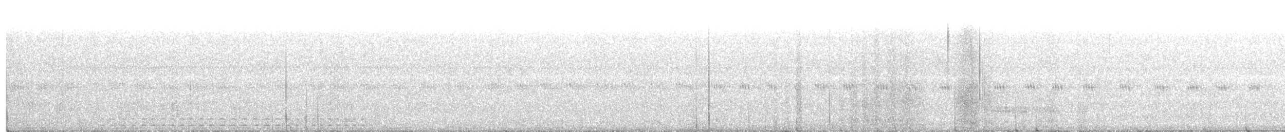 Eastern Screech-Owl - ML242484431