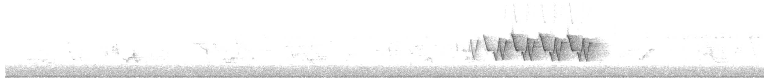 Common Yellowthroat - ML242487431