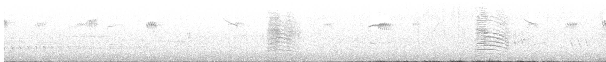Пересмішник сірий - ML242488141