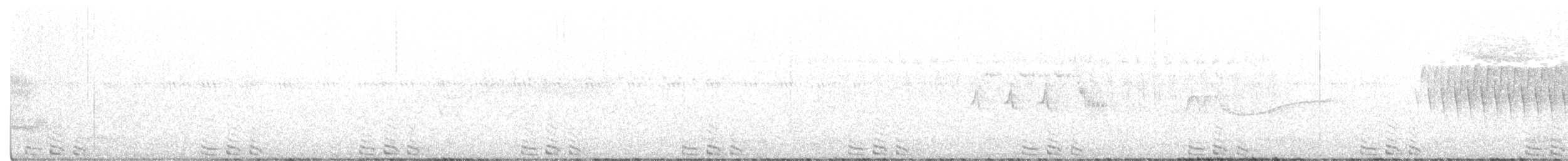 קוקיה שחורת-מקור - ML242493181
