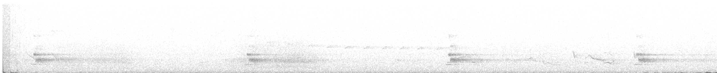 Ménure superbe - ML242519391