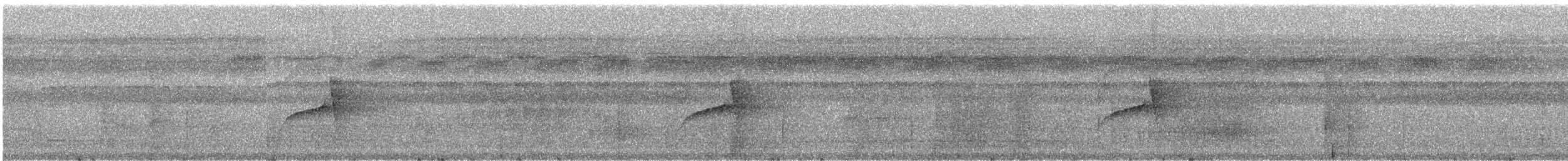 Sarı Telekli Yassıgaga (obscuriceps) - ML242525