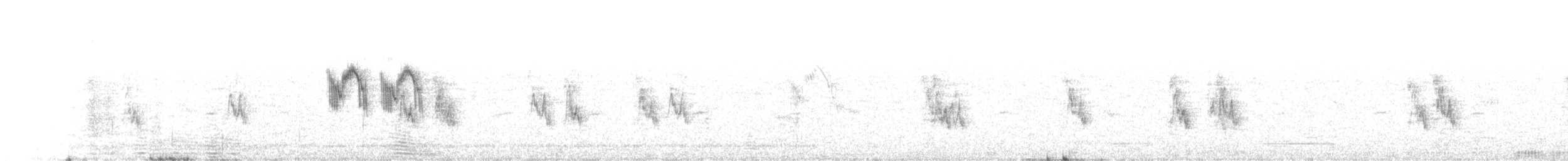 Lavandera Boyera - ML242528191