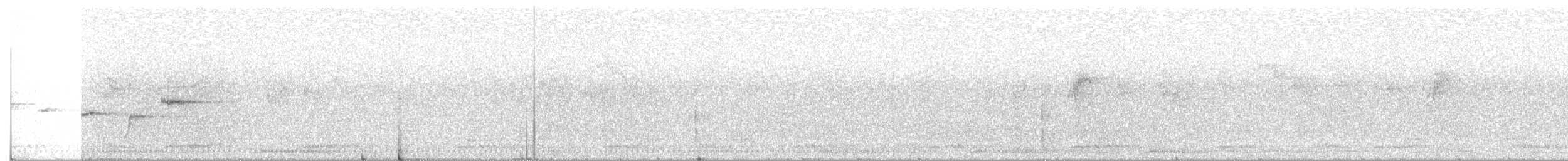 Белогорлая веерохвостка - ML242553811
