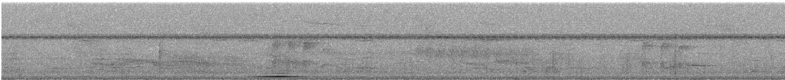 holub bledoprsý - ML242555