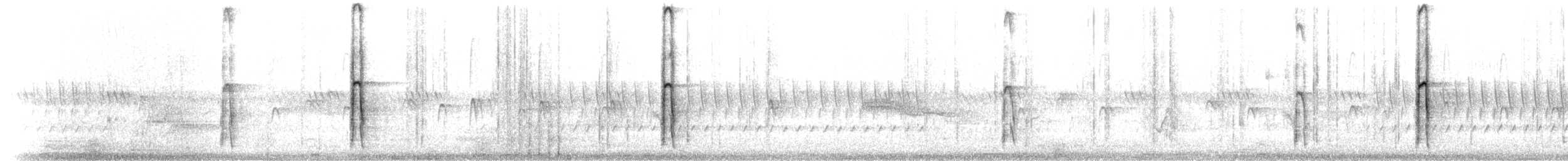 strakapoud americký (ssp. orius/icastus) - ML242555071