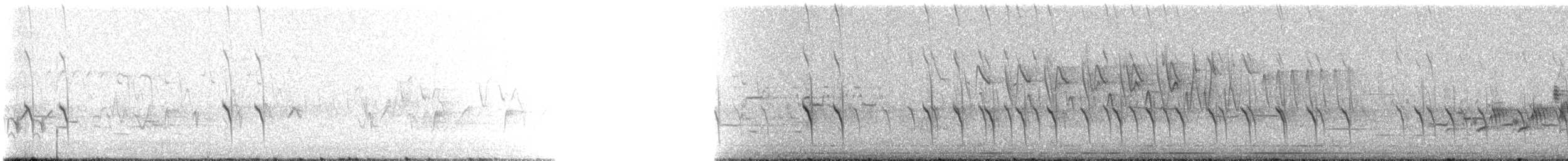 Fichtenkreuzschnabel (Typ 2) - ML242560931