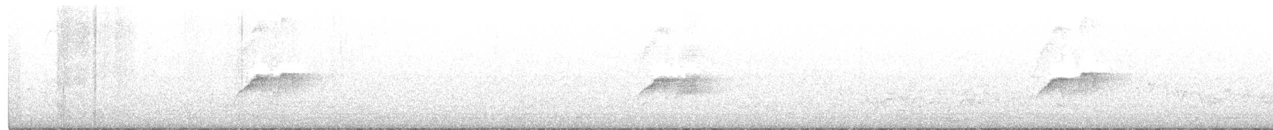 Светлобрюхий фиби - ML242564401
