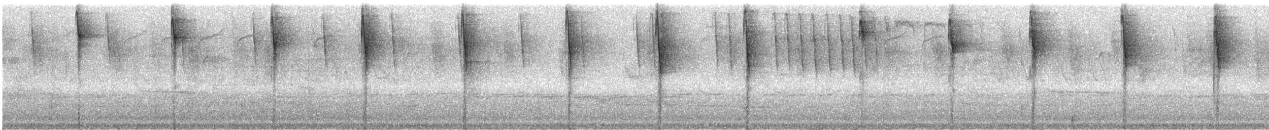 Chlorospin des buissons (groupe flavopectus) - ML242576