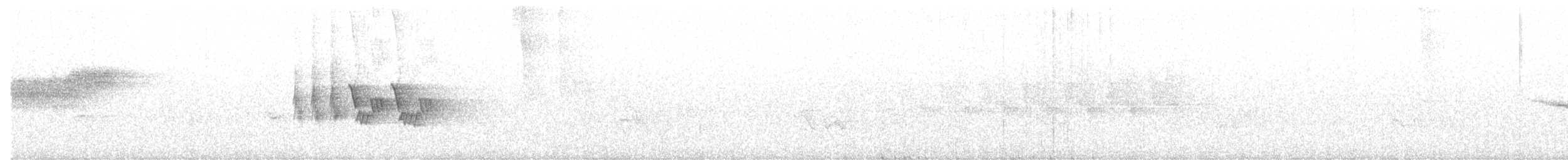 svartbrystparula - ML242577841