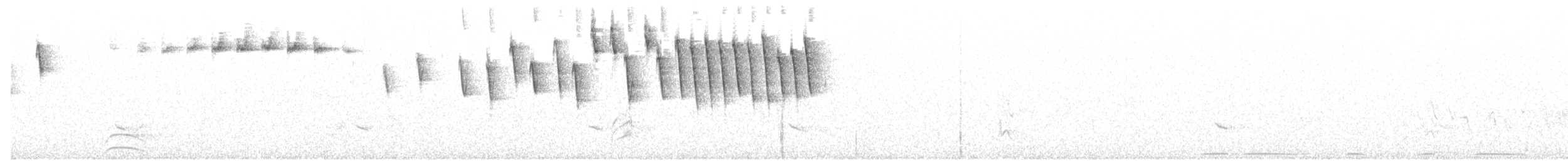 Paruline obscure - ML242580121