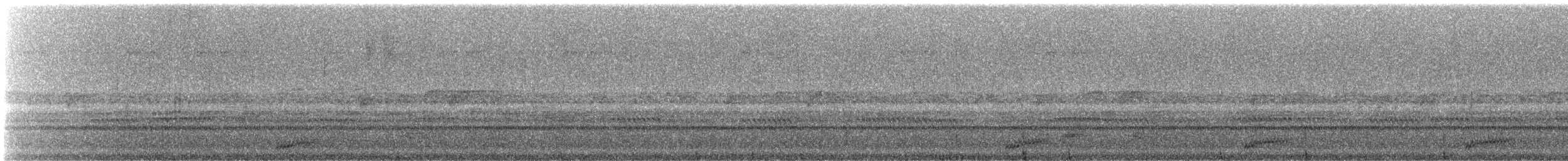 Trauernachtschwalbe - ML242584