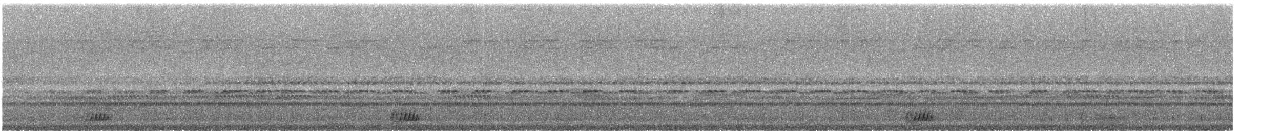 Trauernachtschwalbe - ML242585