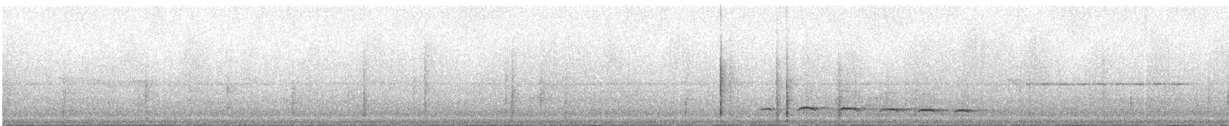 White-streaked Antvireo (White-streaked) - ML242589