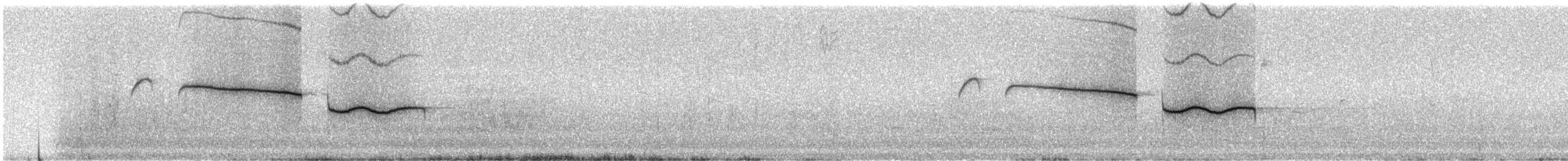 Saman Gerdanlı Dağ Tangarası (taeniata) - ML242608