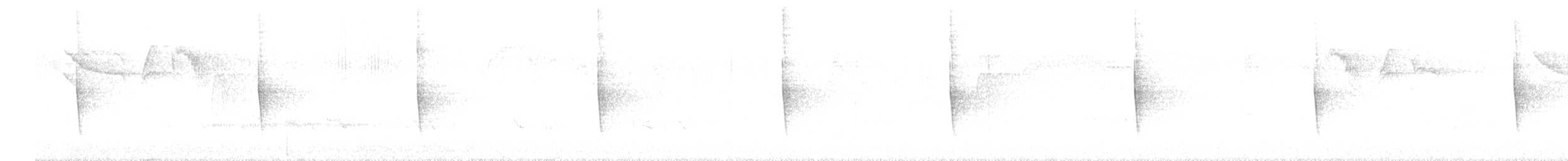 סבכון קנטקי - ML242616271