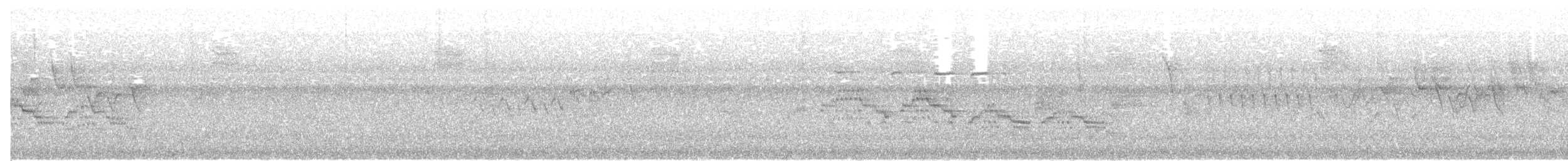 Дрізд-короткодзьоб бурий - ML242618791
