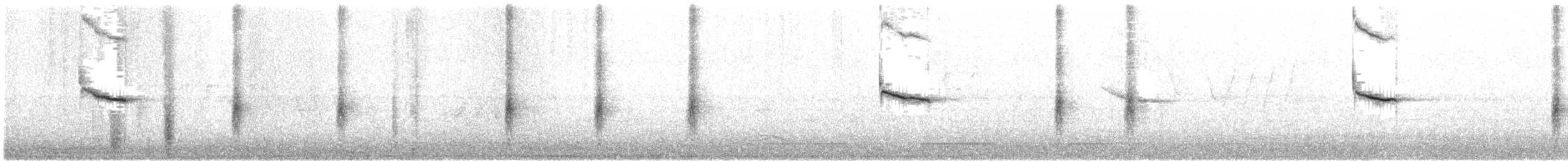 vlhovec červenokřídlý - ML242620131