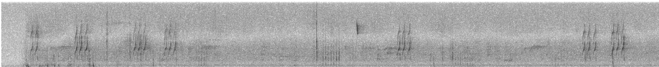 Olivrücken-Baumschlüpfer (antisiensis/palamblae) - ML242622