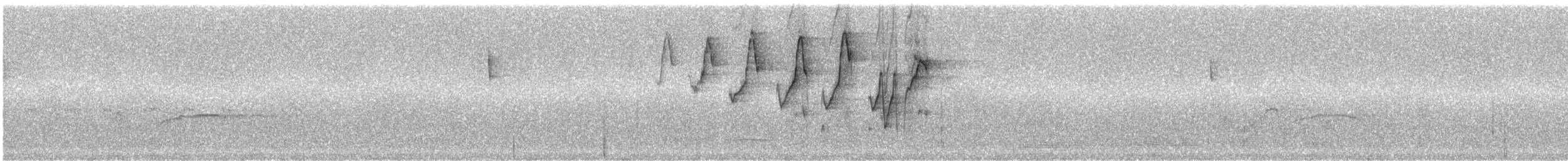 Tangara fourchu (darwinii) - ML242625