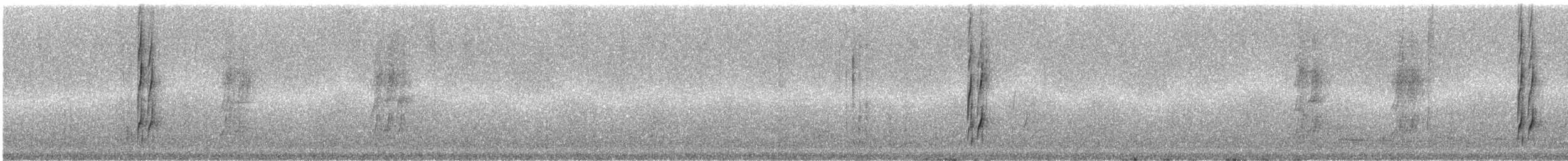 Olivrücken-Baumschlüpfer (antisiensis/palamblae) - ML242630