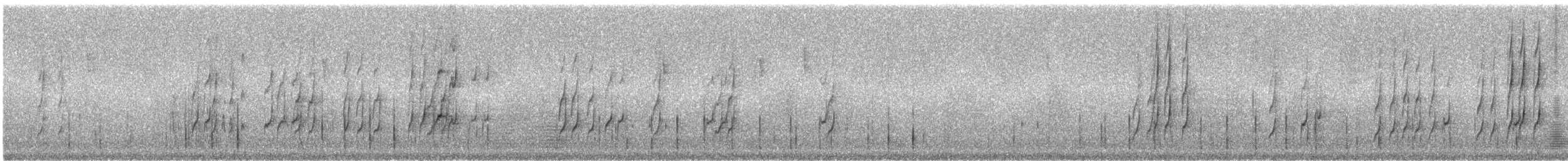 Olivrücken-Baumschlüpfer (antisiensis/palamblae) - ML242631