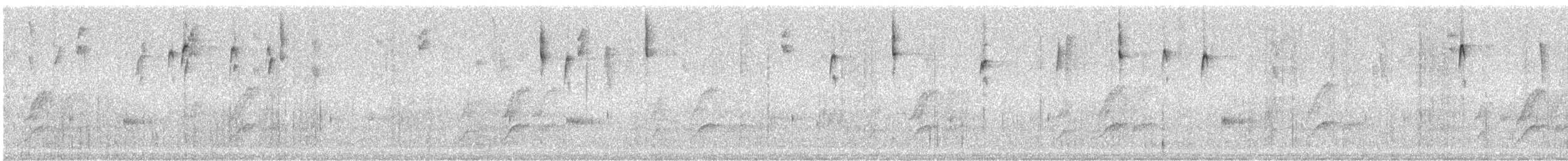 Citrine Warbler (Northern) - ML242641
