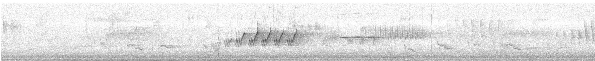 MacGillivray's Warbler - ML242651521