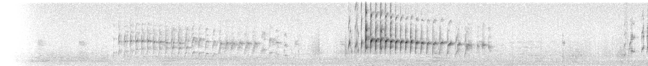 rorýs bělohrdlý - ML242651951