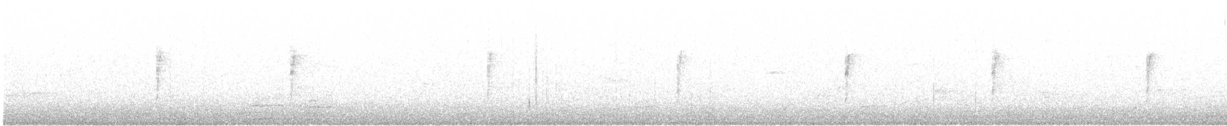 svartbrystparula - ML242680931
