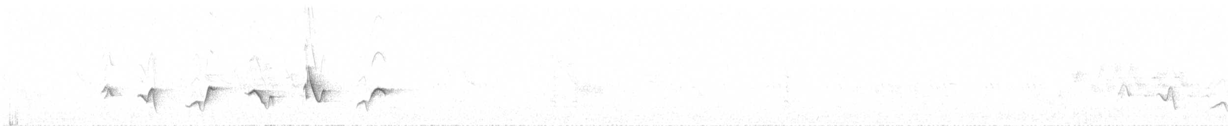 Черноголовый толстонос - ML242688591