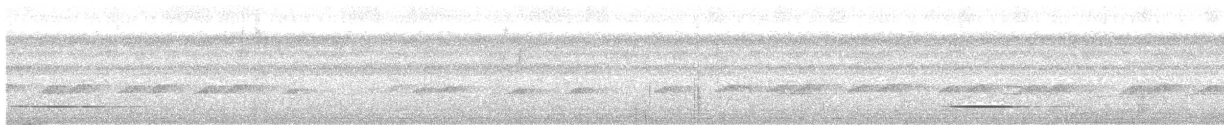 Серый скрытохвост - ML24268991