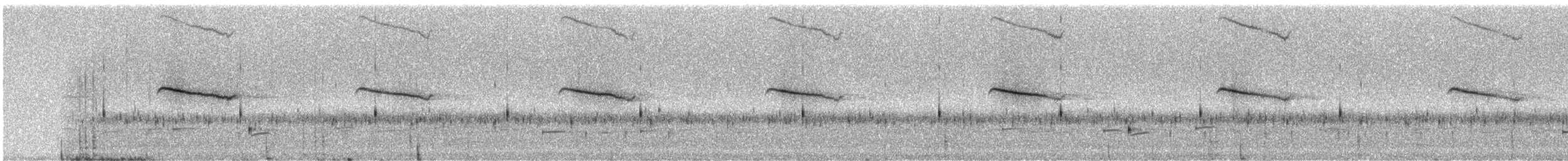 Breitspiegel-Nachtschwalbe (ruficervix) - ML242691