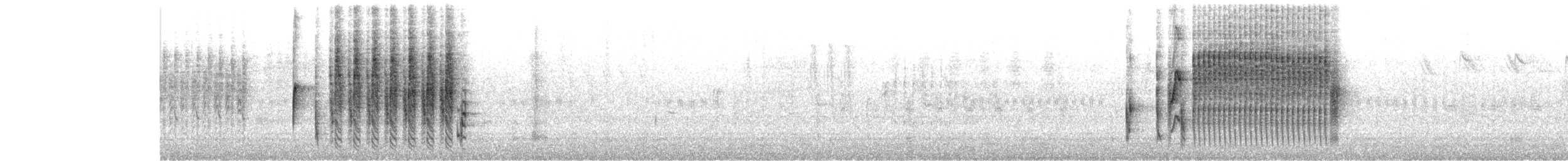 Troglodyte des marais - ML242700211