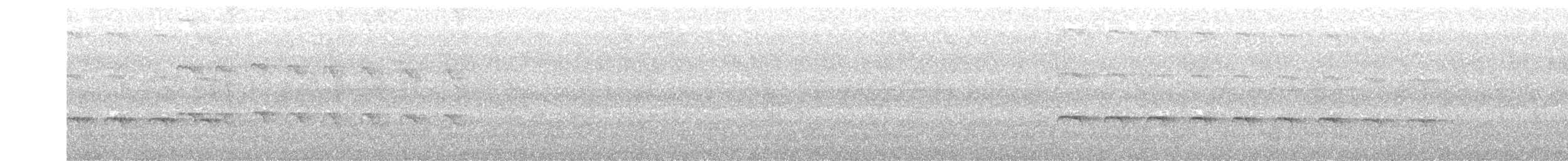 Zeledon Karıncakuşu - ML242704471