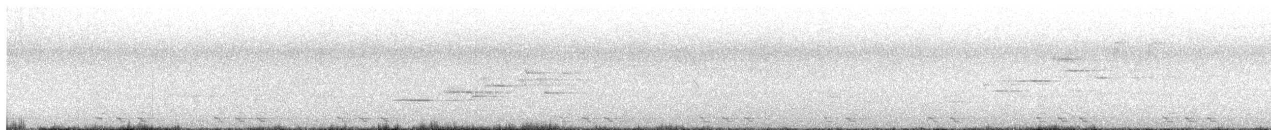 Black-billed Cuckoo - ML242709911