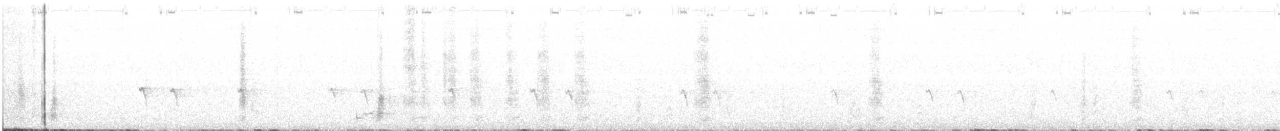gråskrike (capitalis/bicolor) - ML242715571