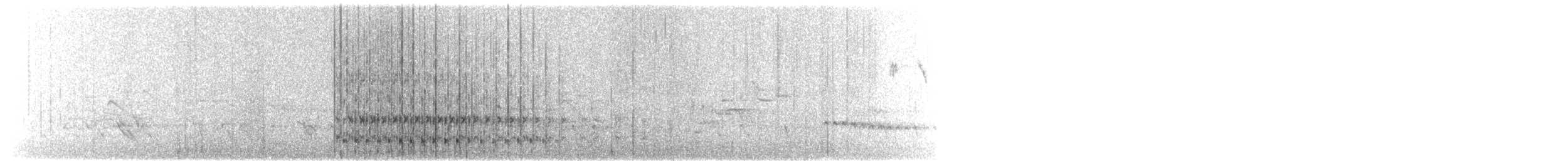 holub chocholatý - ML242721941