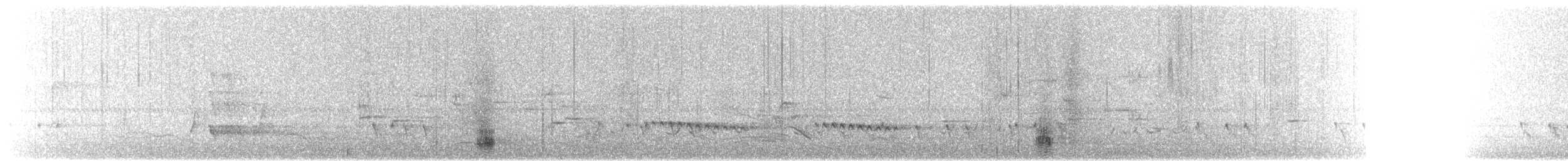 Straw-necked Ibis - ML242721961