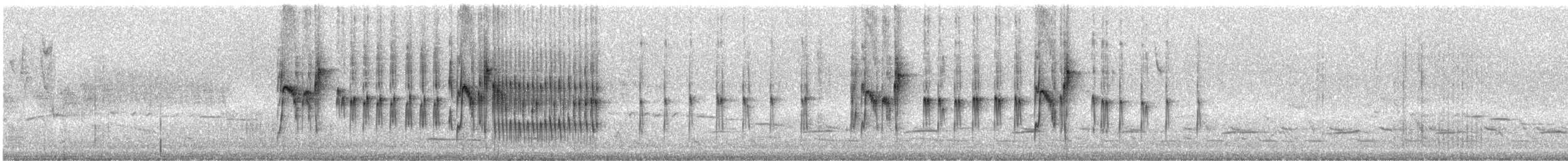 Tufted Tit-Tyrant - ML242731