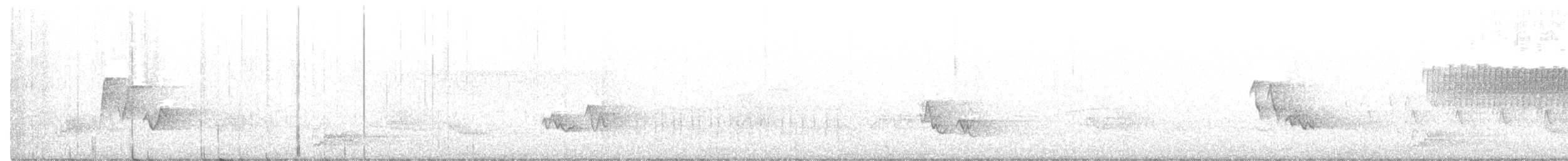 Paruline vermivore - ML242731211